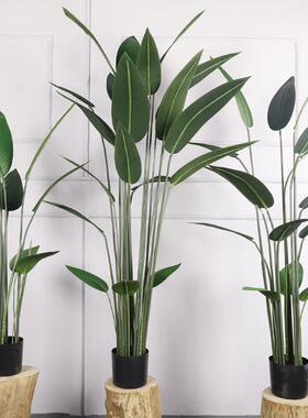 欧式仿真天堂鸟 室内盆栽落地人造植物美人蕉 大型仿真绿植天堂鸟