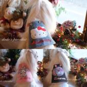 24秋冬新款 宠物狗猫泰迪约克夏马尔济斯闪亮片刺绣加绒牛仔背带裙