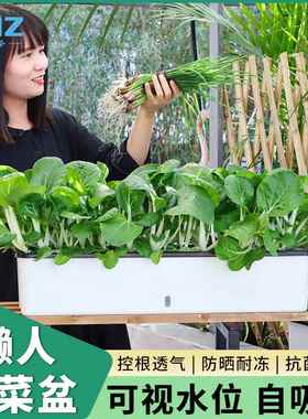 欧林泽新款种菜盆家庭阳台种菜种花长条方形窄盆懒人塑料花盆