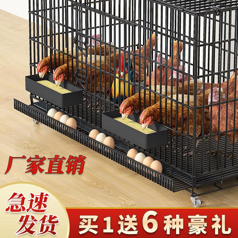 室外养鸡专用笼鸡笼子家用大号小鸡笼自动清粪母鸡下蛋室内窝防雨