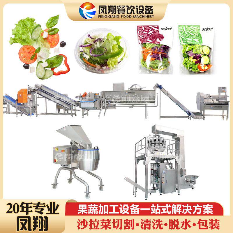 新鲜缤纷蔬菜沙拉健康饮食白领人士即食蔬菜混合加工处理生产线