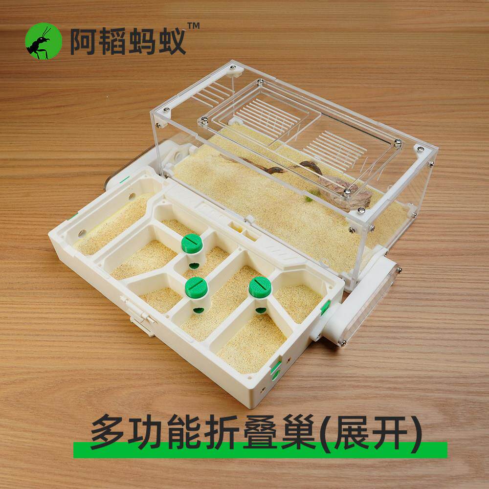 蚂蚁造景折叠生态平面蚁巢蚂蚁生态箱阿韬蚁巢蚂蚁平面巢阿韬ants