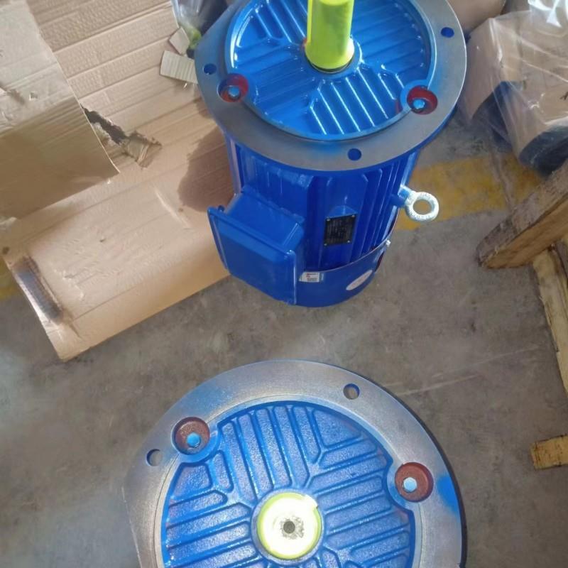 山东厂家直供 YEJ-132M2-6-5.5KW 电磁制动三相异步电机 质量保障