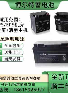 B&T博尔特铅酸UPS蓄电池12V17AH24AH38AH65AH10AH120AH150AH2
