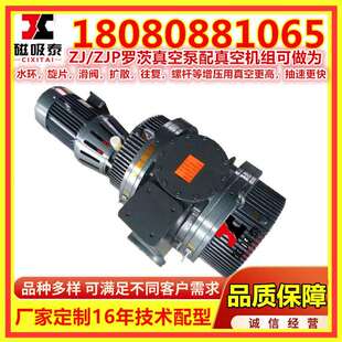 522KW罗茨泵真空浸渍周口250L S0真空 ZJP250罗0289茨真空泵1