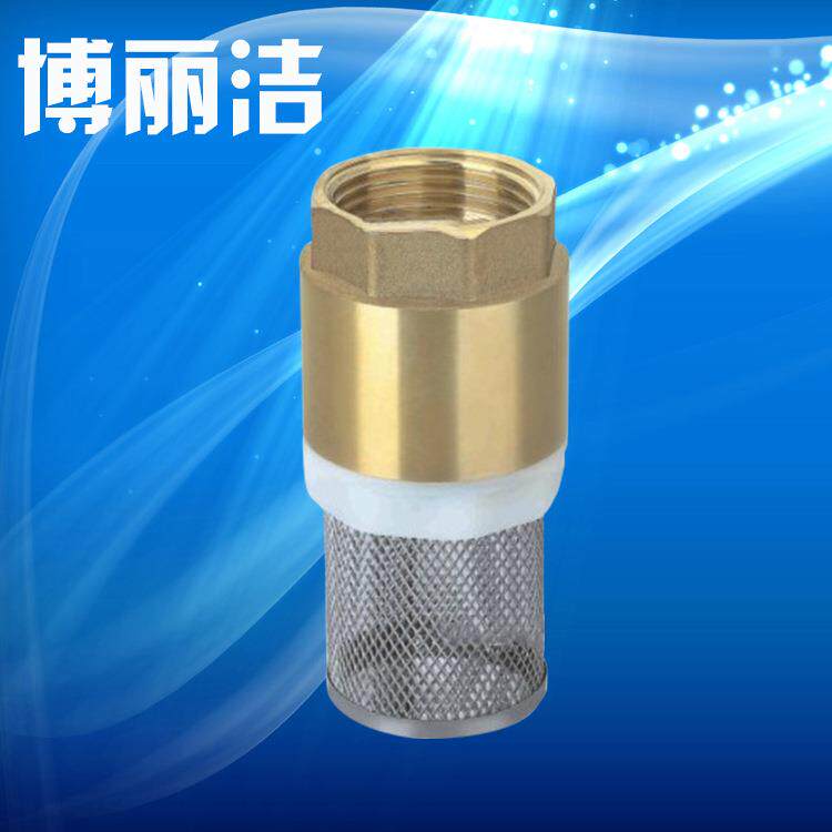 铜带过滤器铜底阀 水泵底阀/吸水阀 立式止回阀带过滤网