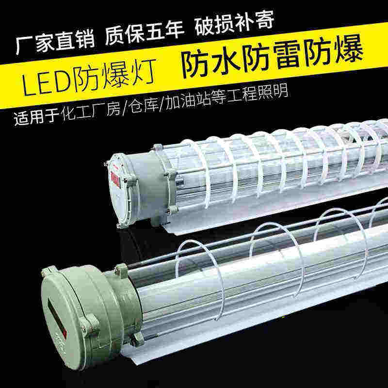 定制LED防爆灯荧光灯隔爆型单管双管车间厂房仓库灯罩灯管1x40w2x