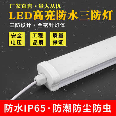 led防水长条一体化三防灯管低压直流12v24v交流36v超亮户外日光灯