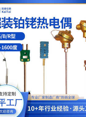 型型r耐高温0铑丝型齐全偶型 s-s5b .热电偶铠装wrpk尺寸铂131