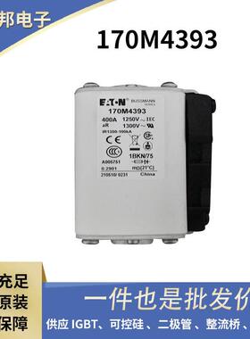 170M3418 170M6016  170M6458原装低压熔断器 熔芯 保险丝型号齐