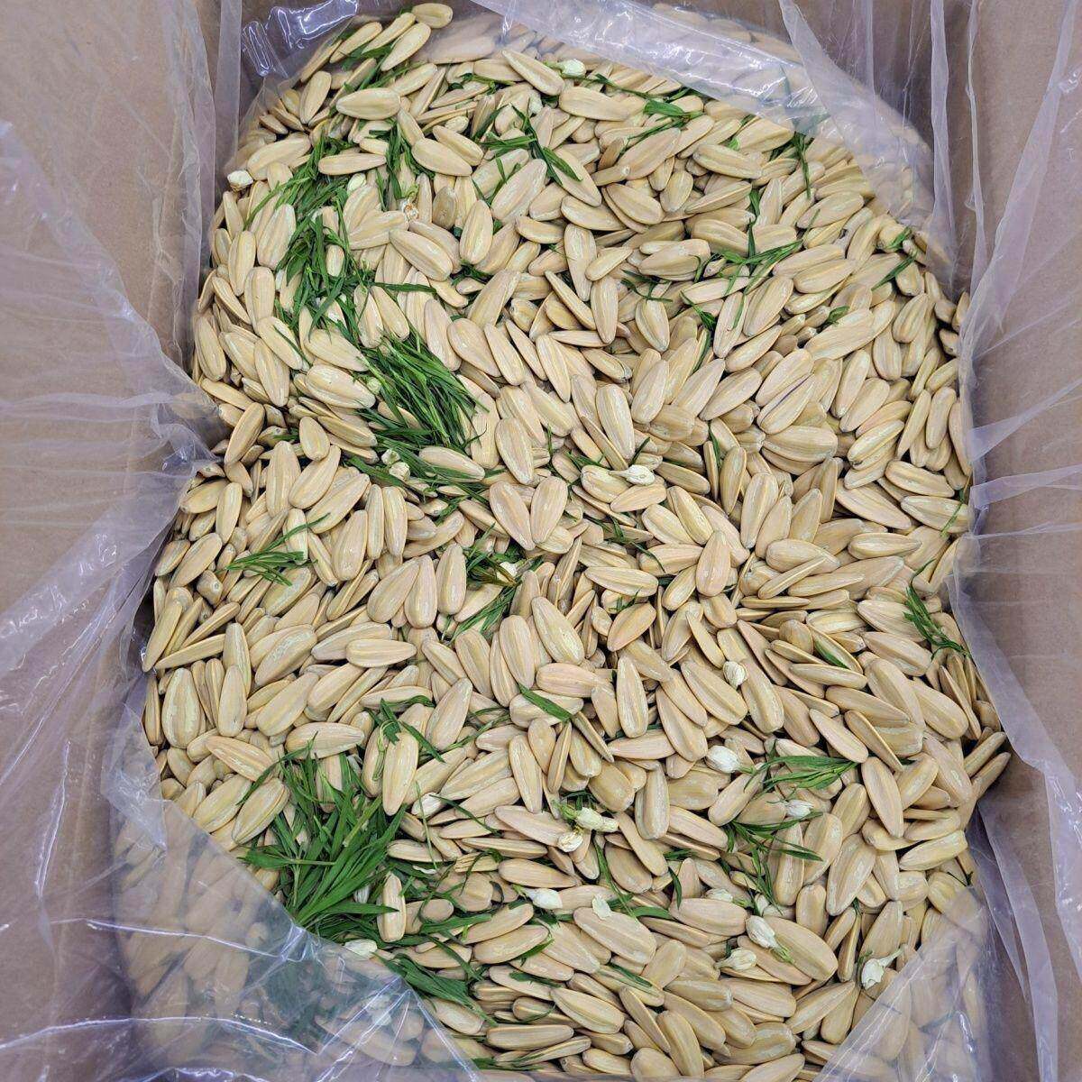 竹韵茶香茉莉瓜子小零食炒货500g整箱葵花籽休闲散装年货解馋袋装