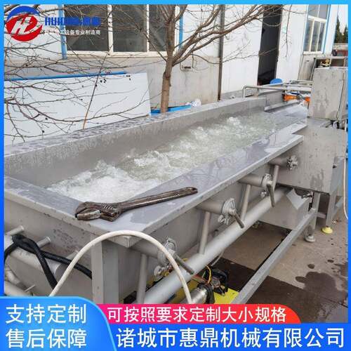 芹菜韭菜段涡流清洗机酸豆角清洗机全自动黄瓜清洗机厂家供应