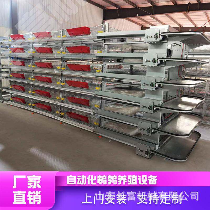 养殖养设备层叠式型鸡笼蛋具AOC全自动化鹌鹑设H备养鸽子笼具厂家