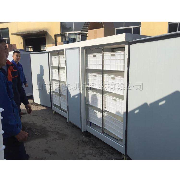 农贸市场加工豆芽机黄豆发育芽苗茎工具全自动芽苗菜生长设备