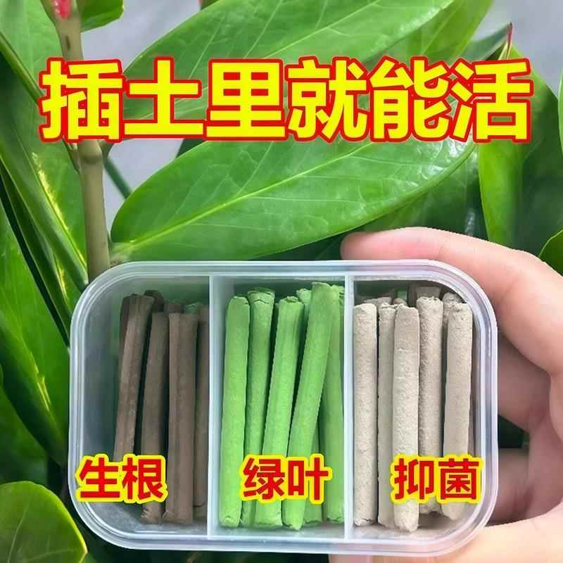 三色植物营养棒缓释棒盆栽花卉多肉通用型缓释营养棒养花肥急救棒