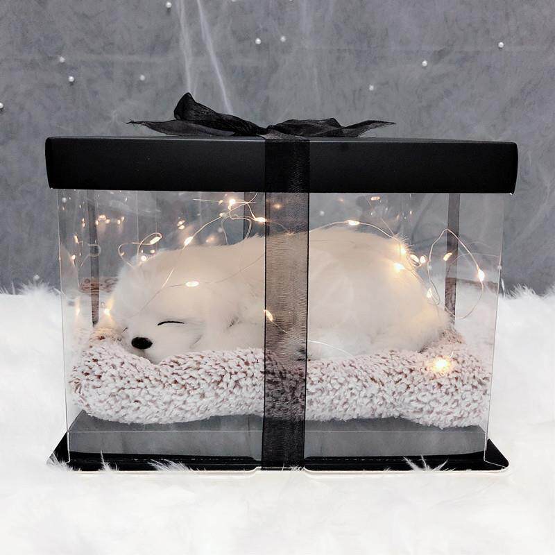 高档生日创礼教师礼物猫咪意礼物物少女心特别走心节送闺蜜女友礼