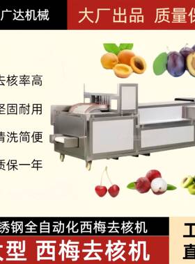 广达西梅去核机全自动西梅去籽机不锈钢材质西梅捅芯机厂家直销