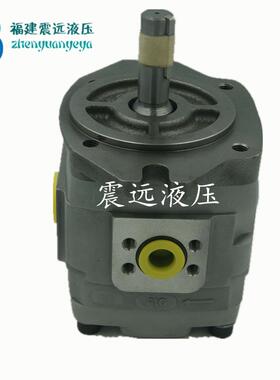 N机-A不CHI/IPH3B-10-20IPH-3B-13-20PVP二越裁剪小型齿轮泵