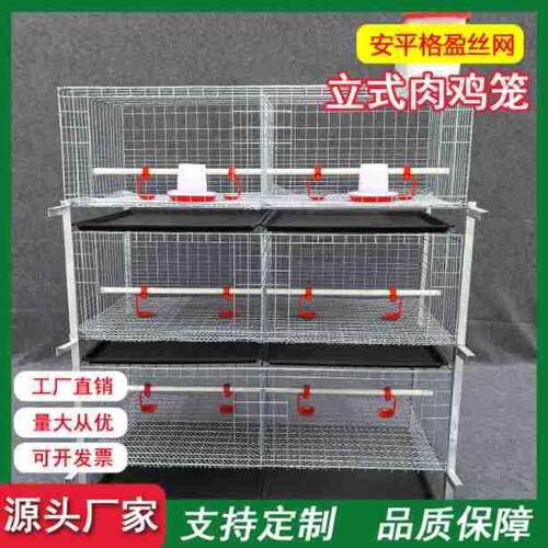 立体肉鸡笼肉鸡笼立体层叠式镀锌工艺层叠式可直供外贸