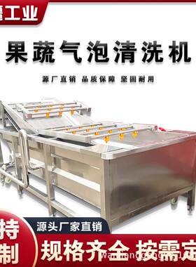 3小型水果蔬气泡清万疆腌洗机黄瓜清米洗脱盐机鲜菜辣椒臭氧机械