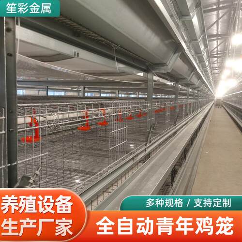 畜牧养殖机械设备四层叠鸡笼全自动鸡舍养青鸡恒温养殖设备鸡笼