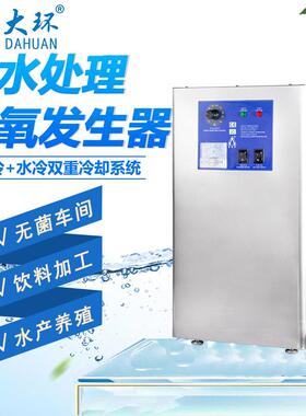 大环400G臭氧发生器泳池海洋馆矿泉水厂SOZ-YOB无需辅料