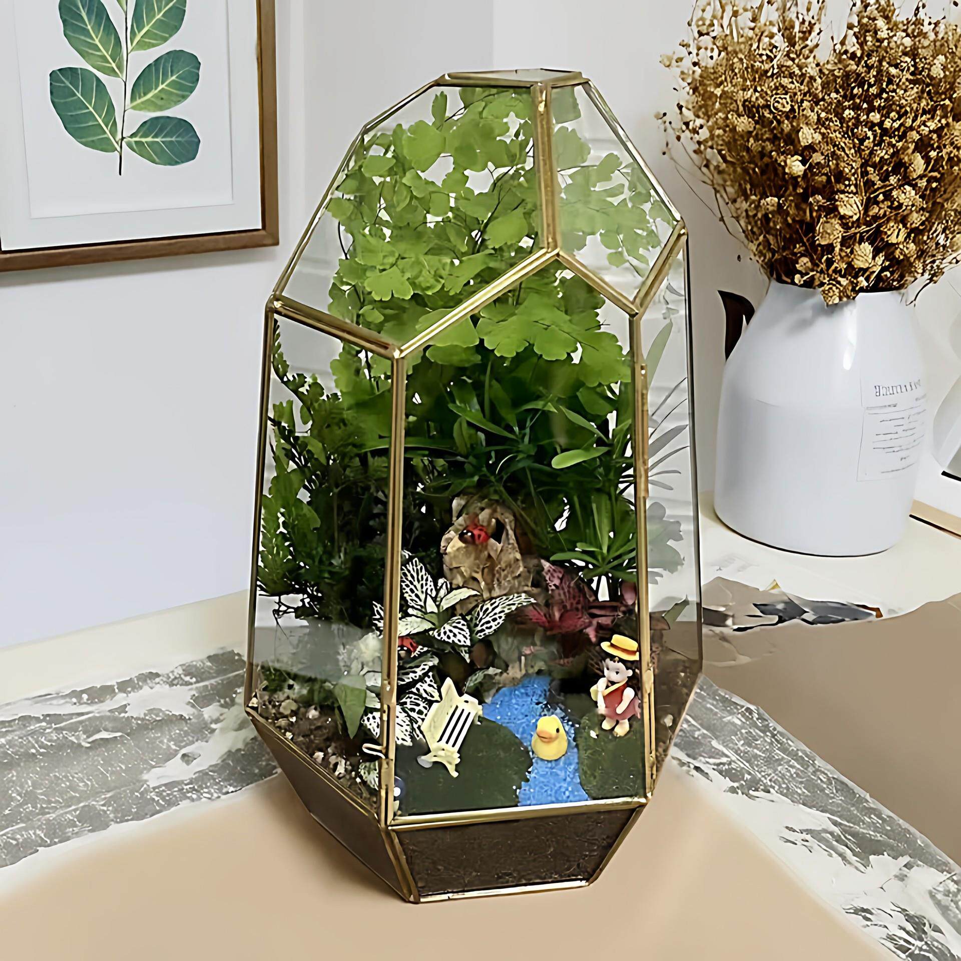 热花带型雨林缸古复环保室内带门玻璃微花房艺术花盆器皿TDU微景