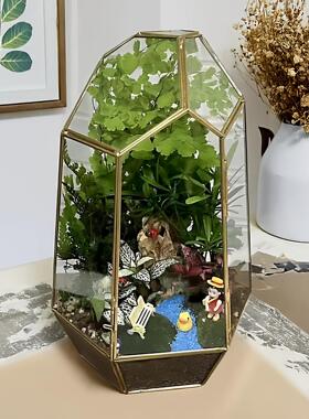 热带微型雨林缸复古环保室内带门玻璃花房艺术花盆器皿微景观花盆