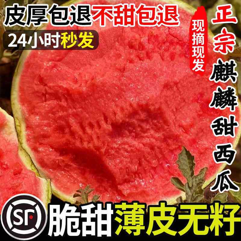 正宗脆甜麒麟西瓜新鲜薄皮无籽8424美都小西瓜应当季海南云南水果