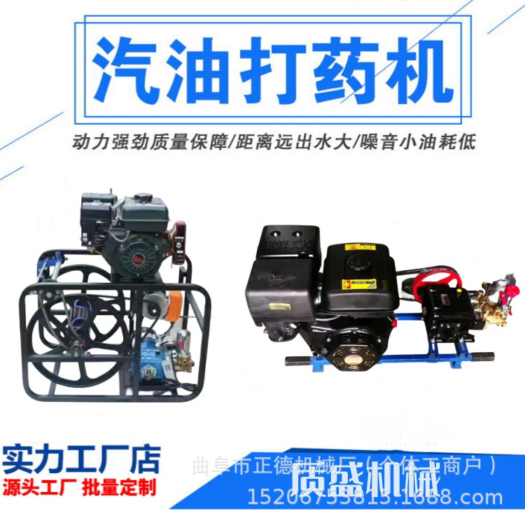 市政园林消毒机手推式170型汽油打药机 养殖场喷雾机