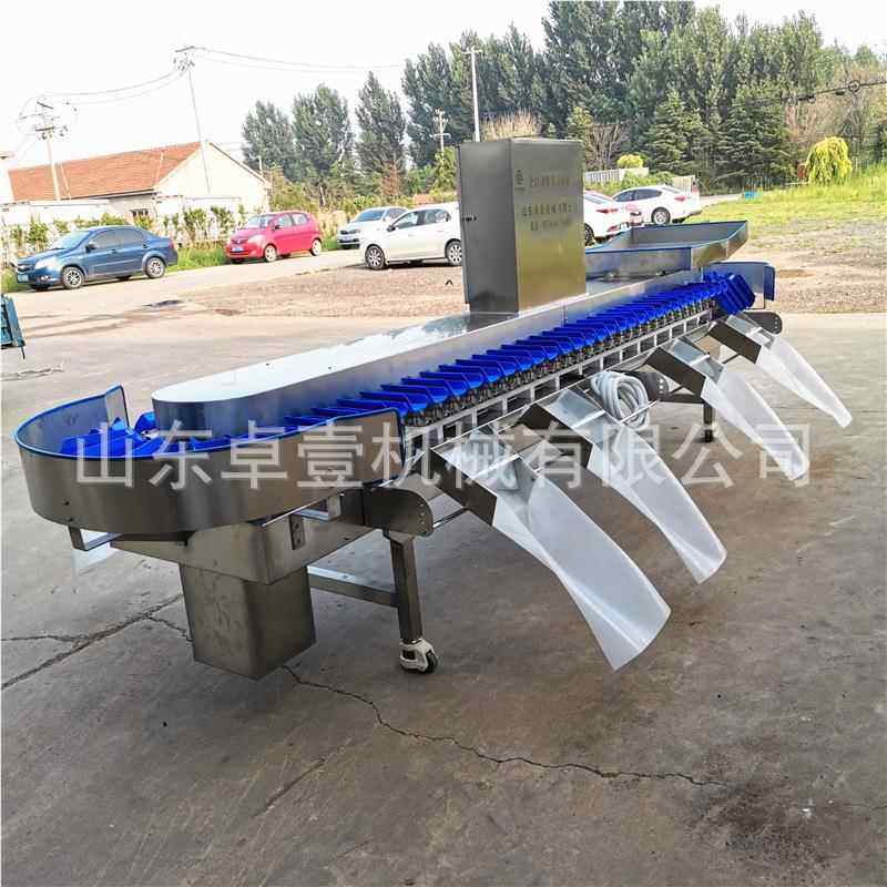 全自动量 分选机人参果火龙果大小分拣机792商用精度多高级挑选重,五金/工具,其他机械五金,淘宝优惠券,粉丝福利购,淘宝优惠卷