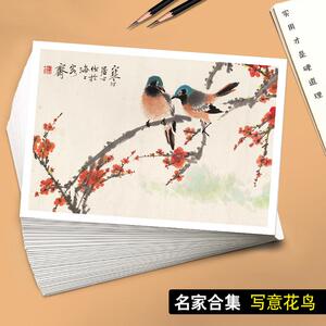 国画临摹卡名家合集写意花鸟水墨画绘画艺术培训高清印刷40张高清