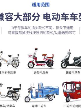 199动车正弦波控器50/450/650/800-100电0w电瓶制车三静模超静超