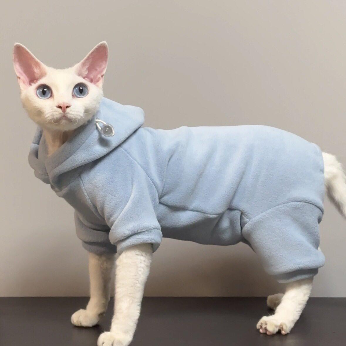 无毛猫衣服秋冬厚款保暖德文蓝猫卷毛猫护肚子四脚衣弹力奥粒绒