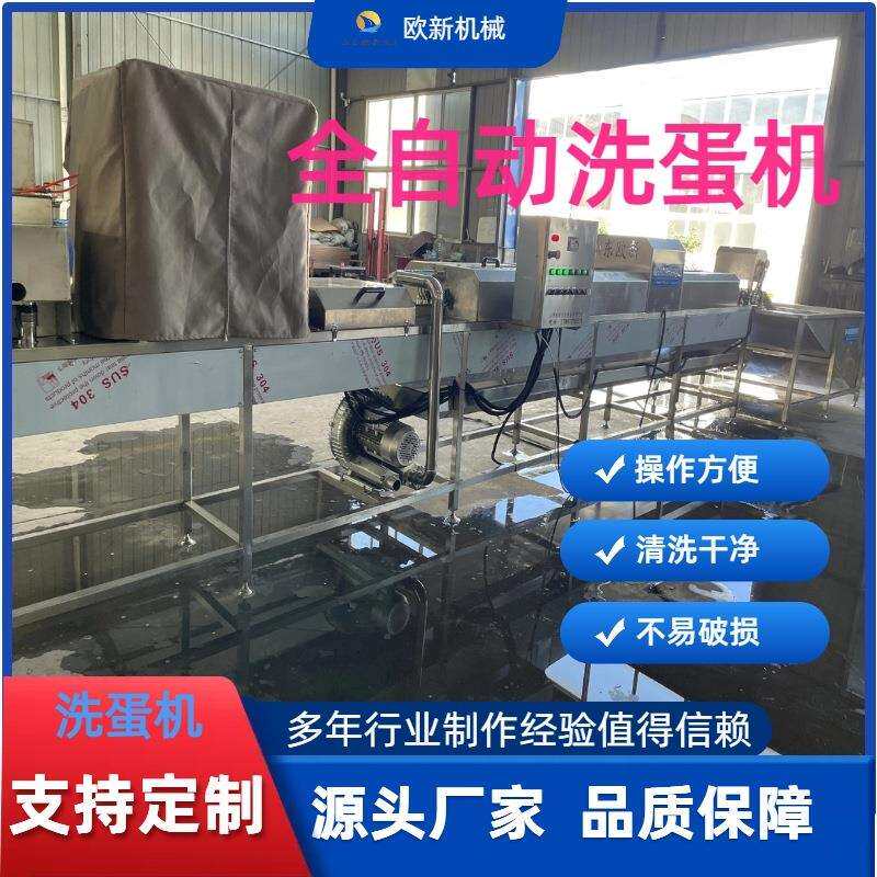 全自动蛋制品洗蛋机鸡蛋清洗烘干光检设备多功能咸鸭蛋泥蛋清洗机