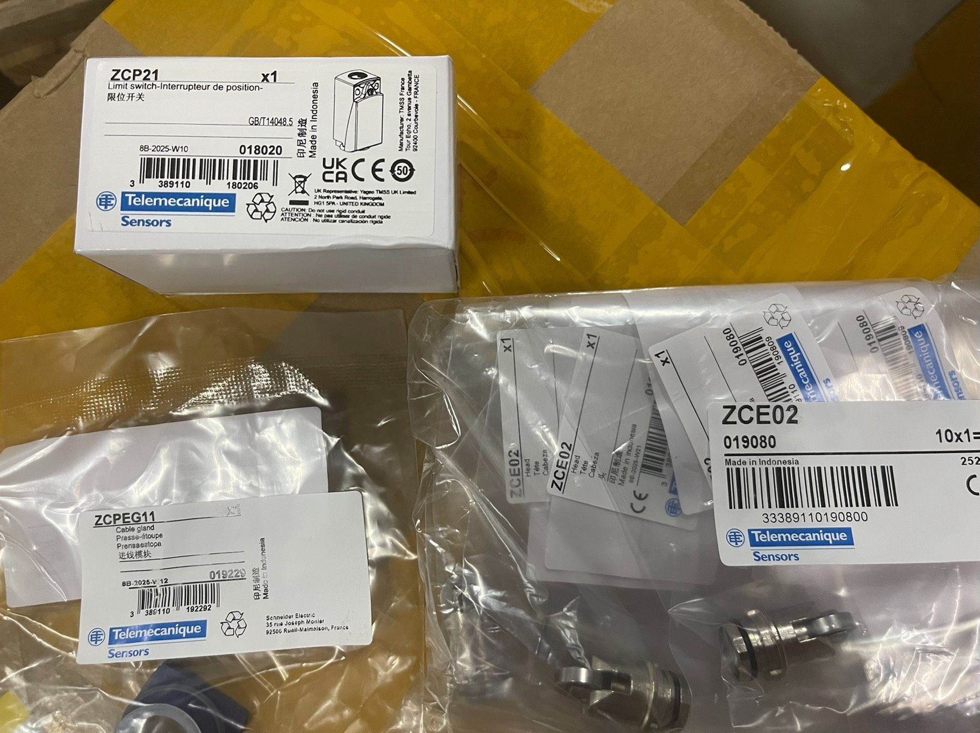 TE特勒美科（原施耐德）限位开关XCKP2102G11全新原