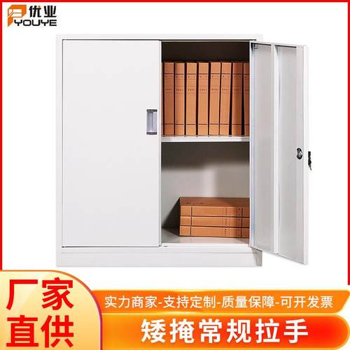 矮柜办公室钢制档案柜财务凭证文件柜带锁收纳储物矮柜厂家