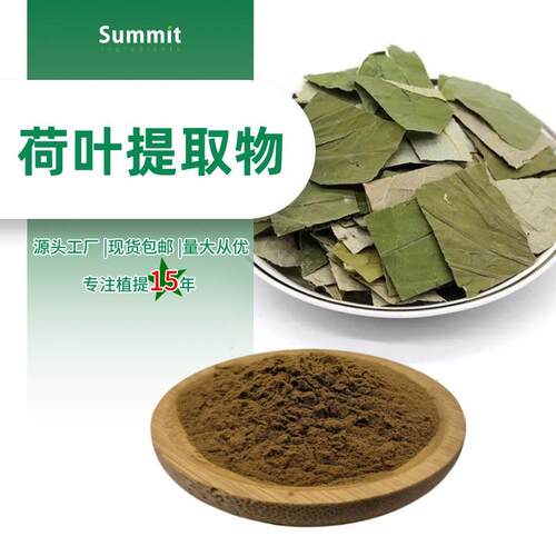 荷叶提取物 SC备案药食同源粉原料现货可拿样水溶性荷叶碱1%2%3%