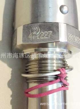 液位电极德国GESTRA水位探针NRG19-50欧宝船舶锅炉燃油燃烧器配件