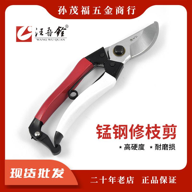 汪吾铨园林剪刀修剪树枝果树园艺工具花艺剪整枝修枝剪2202