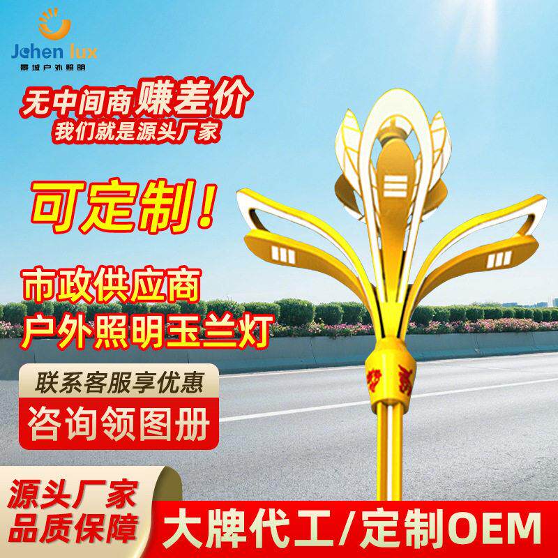 中华灯户外市政道路照明10米12米玉兰灯八叉九火景观灯路灯杆