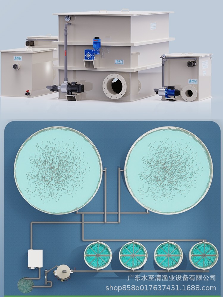 工厂化高密度水产养殖微滤机淡海水循环设备过滤杀菌一体集成系统