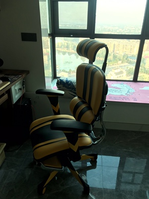 保友金豪高配版好不好?为何评测两面三刀说法都有?