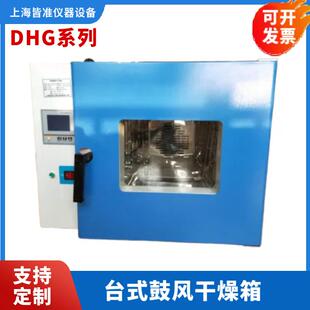 300℃实验室干燥箱烘箱鼓电热恒温鼓风干燥箱 DHG系列250