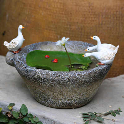 创意仿石臼鸭子摆件铜钱草一叶莲水培植物花盆桌面装饰品花园姗婷