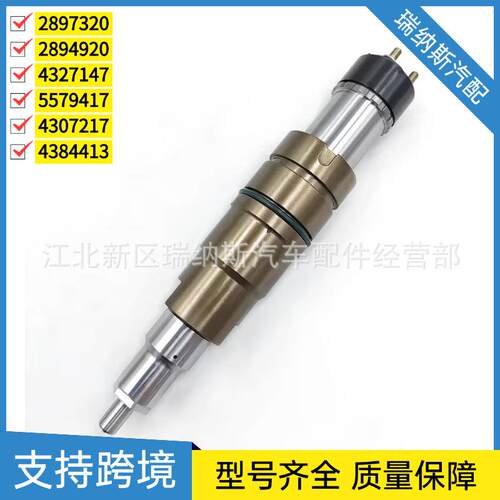 407217喷油器总成48441适用斯坦尼亚DC09DC1DC16发动机柴油泵