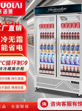斯诺莱饮料冷藏展示柜风冷啤酒水保鲜柜超市冰箱商用立式冷冻冰柜