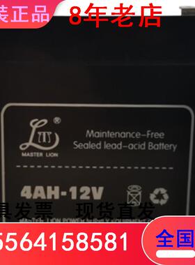 雄狮蓄电池 65AH-12 200AH-12V4A65AH-H7AH9AH12A17AH24A38AH100