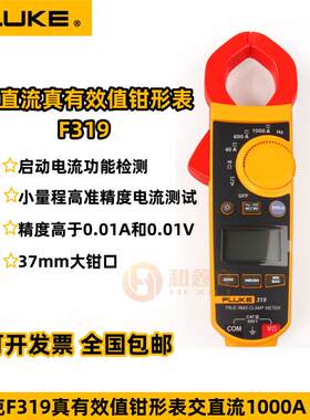 F319钳形表表 F312 F317 高精度交直流钳形电流表
