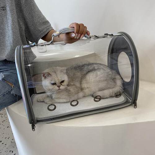 新款直销新款宠物背包透明猫包多孔透气宠物背包外出便携包车载狗